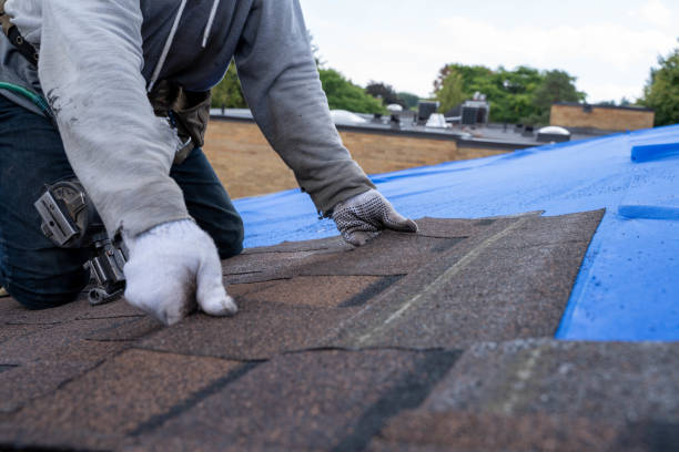 Best New Roof Installation  in Comanche, OK